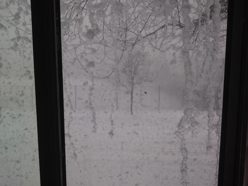 Illustration for article titled The view out the kitchen window.